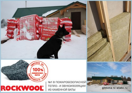  ROCKWOOL оказывает благотворительную помощь Центру Реабилитации бездомных животных!